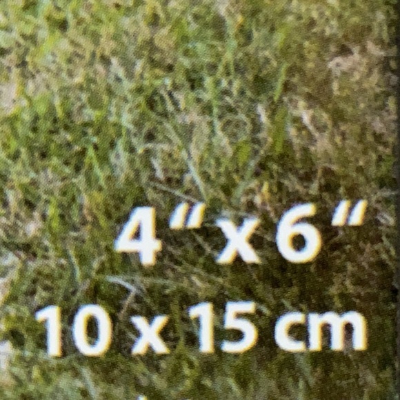 Picture Frame - Picture 2 of 2